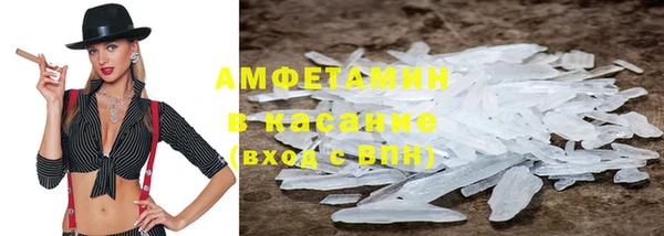 ПСИЛОЦИБИНОВЫЕ ГРИБЫ Богданович