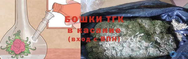 ПСИЛОЦИБИНОВЫЕ ГРИБЫ Богданович