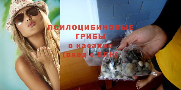 соль ск Богородицк