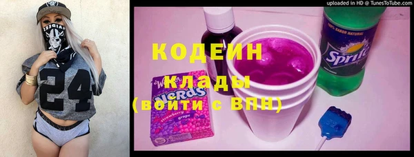 соль ск Снежинск