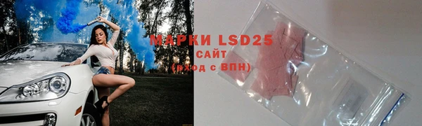 ПСИЛОЦИБИНОВЫЕ ГРИБЫ Богданович
