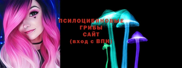 ПСИЛОЦИБИНОВЫЕ ГРИБЫ Богданович