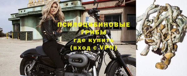 ПСИЛОЦИБИНОВЫЕ ГРИБЫ Богданович