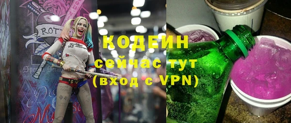 ПСИЛОЦИБИНОВЫЕ ГРИБЫ Богданович