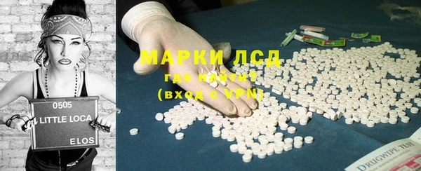 ПСИЛОЦИБИНОВЫЕ ГРИБЫ Богданович