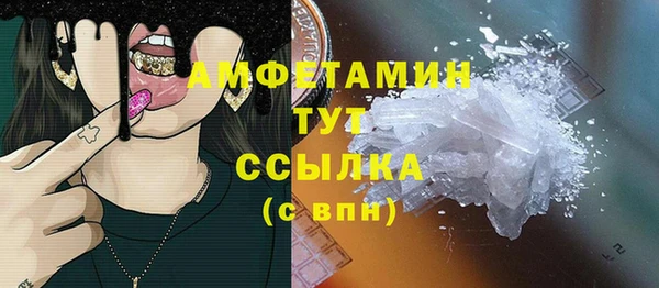 ПСИЛОЦИБИНОВЫЕ ГРИБЫ Богданович