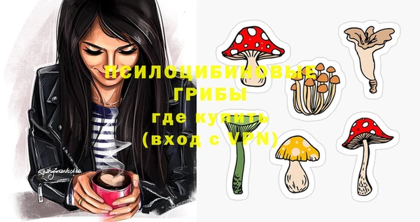 а пвп мука Богородск