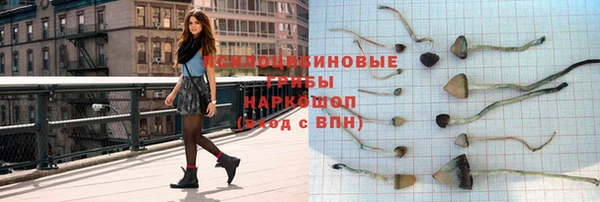 ПСИЛОЦИБИНОВЫЕ ГРИБЫ Богданович