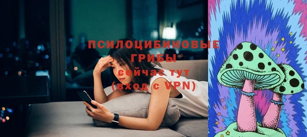 соль ск Богородицк