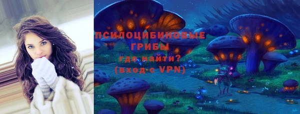 стаф Слюдянка